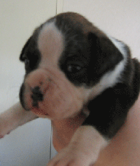 female #2